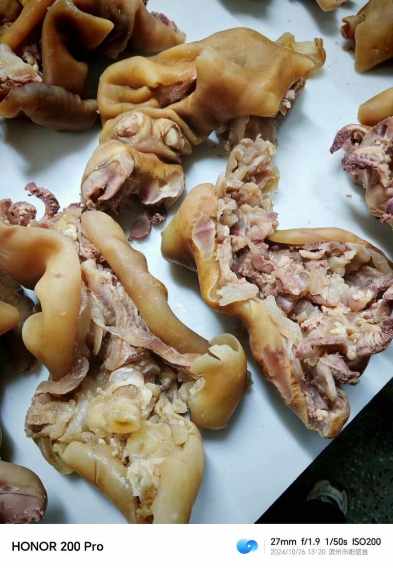 【熟牛蹄筋】全熟去骨带主筋牛蹄，量大从优，现货先发！