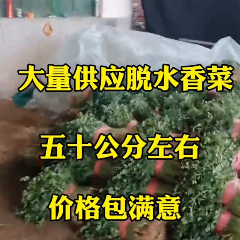 脱水香菜可用于脱水厂，食堂