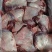 【牛大脸肉】冻牛头缓化剔下来的二次加工产品！一件起发货！