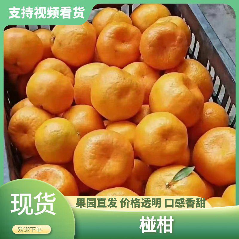 椪柑口感纯甜多汁,本地一手货，大量现货，货源稳定。