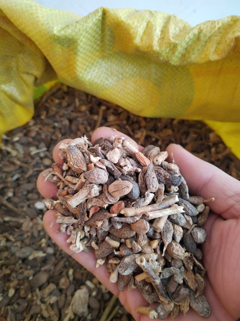 花生小黑子，无土，干燥，适合榨油，压花生饼，大量供应。
