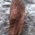 牛肉全熟卤牛肉五香牛肉超市地摊门市供应