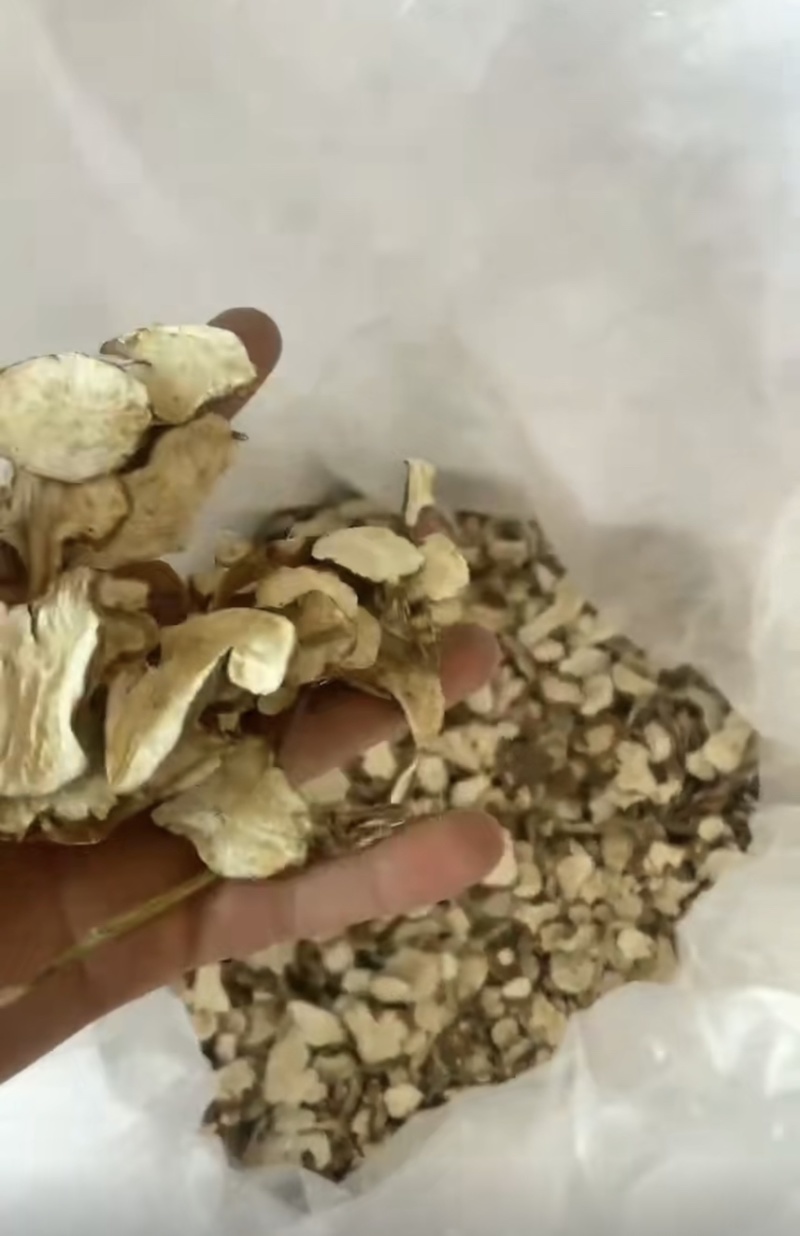 白术生切片