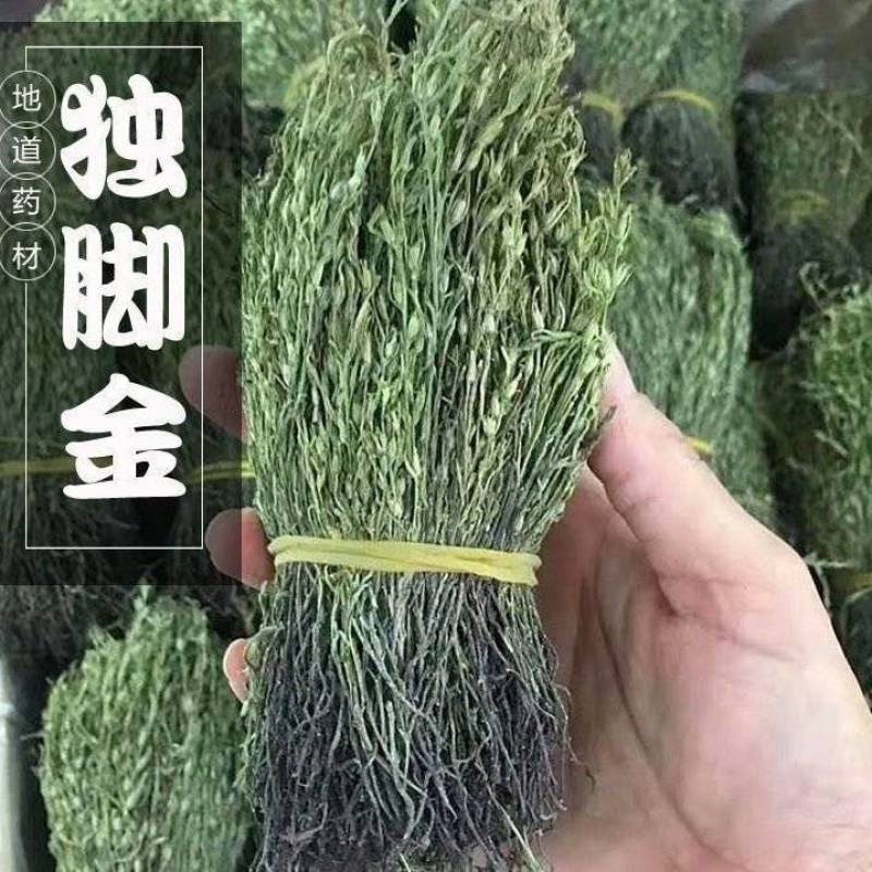 广西独脚金草新鲜消积汤煲汤小儿开胃汤包独角金草