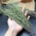 广西独脚金草新鲜消积汤煲汤小儿开胃汤包独角金草