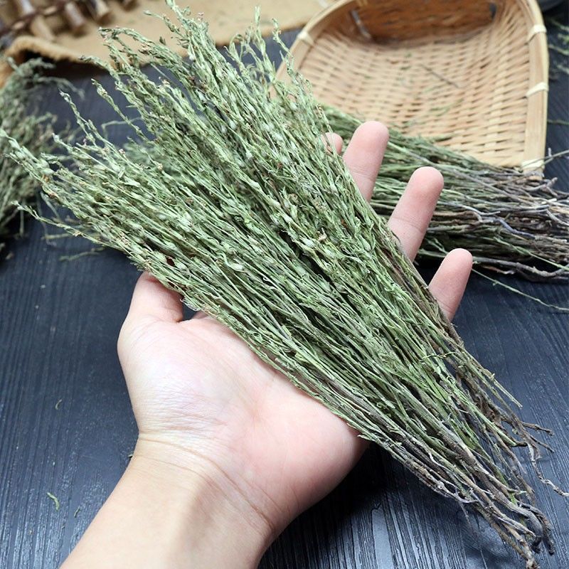 广西独脚金草新鲜消积汤煲汤小儿开胃汤包独角金草