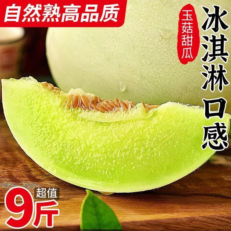 海南玉菇甜瓜，接电商一件代发，专业5年生鲜供应链