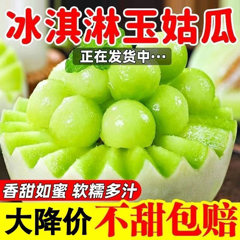 海南玉菇甜瓜，接电商一件代发，专业5年生鲜供应链