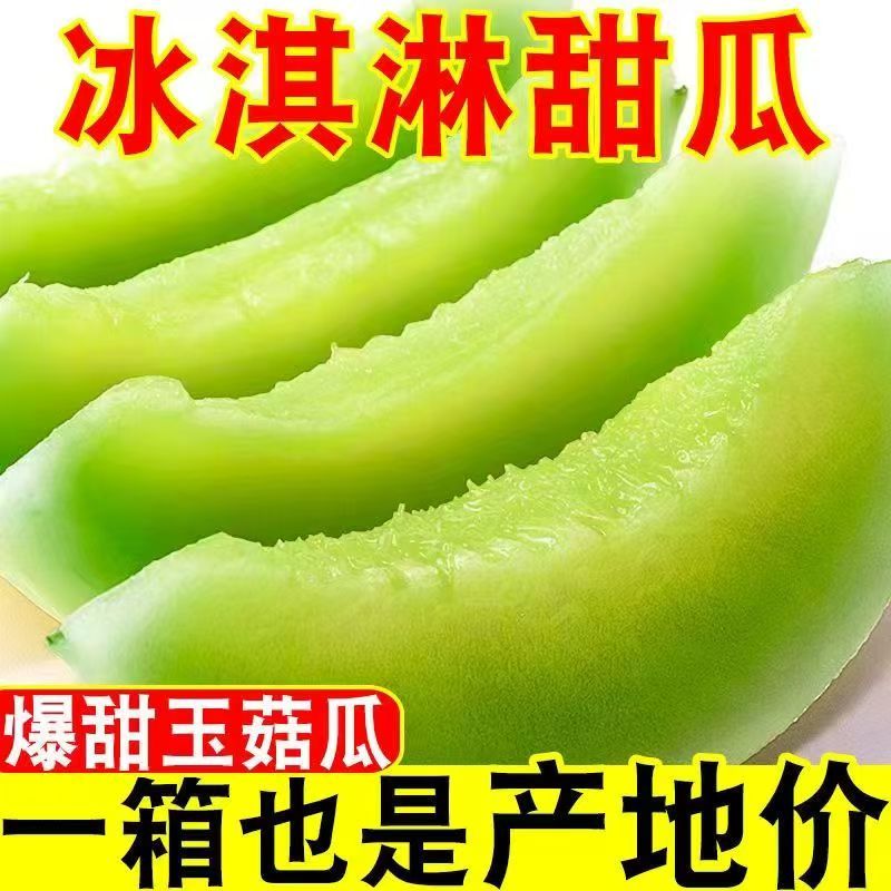 海南玉菇甜瓜，接电商一件代发，专业5年生鲜供应链