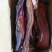 三线肉三线腊肉烟熏腊肉地摊腊肉地摊展销会**