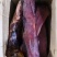 三线肉三线腊肉烟熏腊肉地摊腊肉地摊展销会**