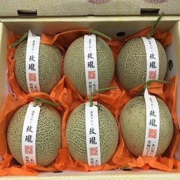 海南网玟梅陇脆甜瓜，网纹瓜，专业电商代发个各平台都能发