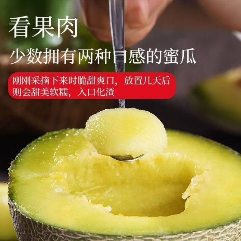 海南网玟梅陇脆甜瓜，网纹瓜，专业电商代发个各平台都能发