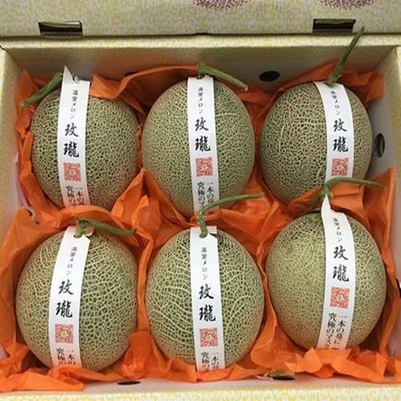 海南网玟梅陇脆甜瓜，网纹瓜，专业电商代发个各平台都能发