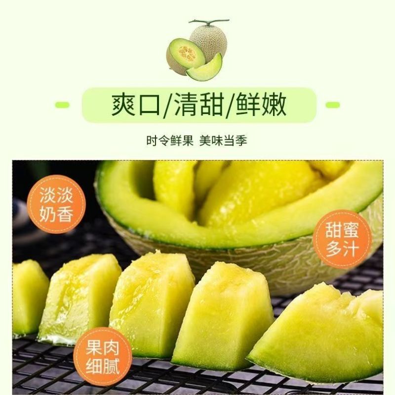 海南网玟梅陇脆甜瓜，网纹瓜，专业电商代发个各平台都能发