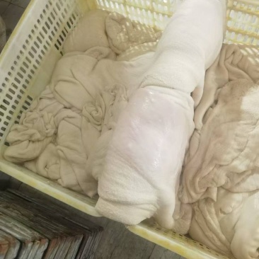 牛净肚