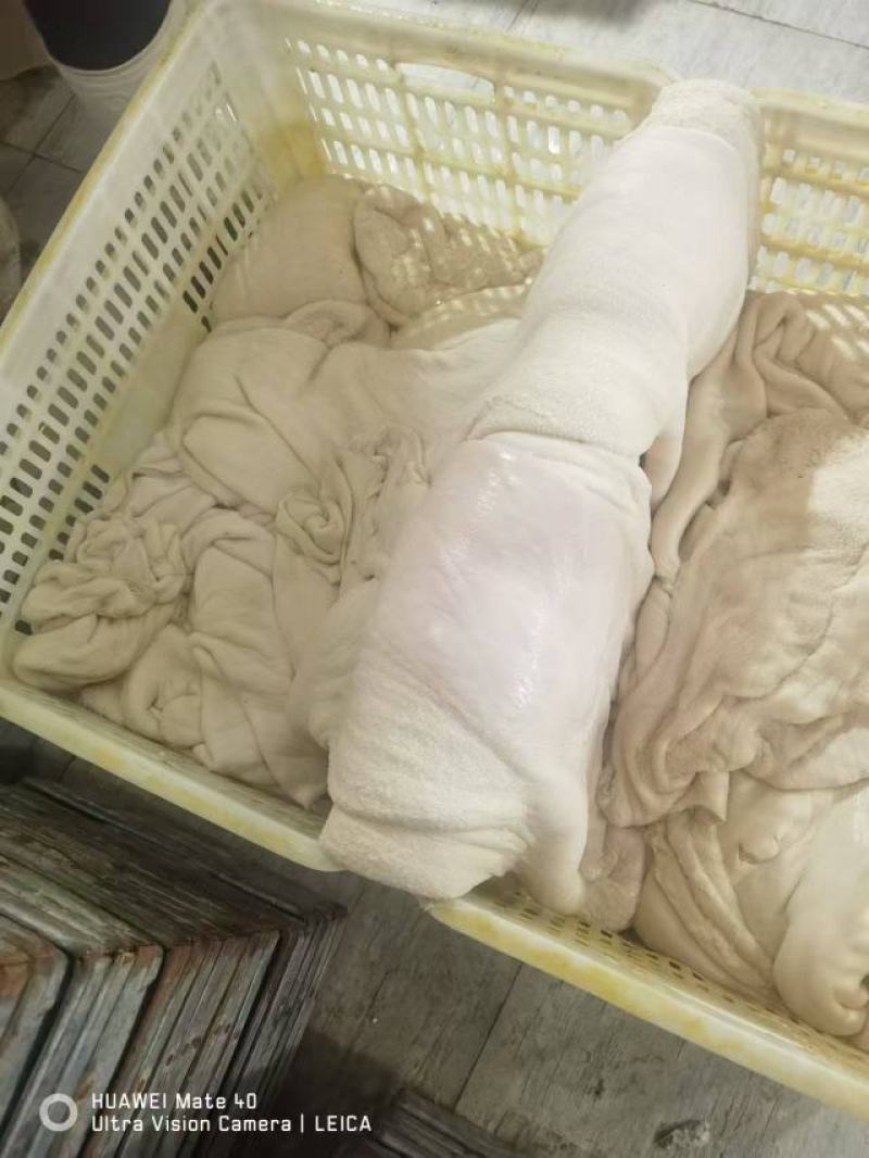 牛净肚