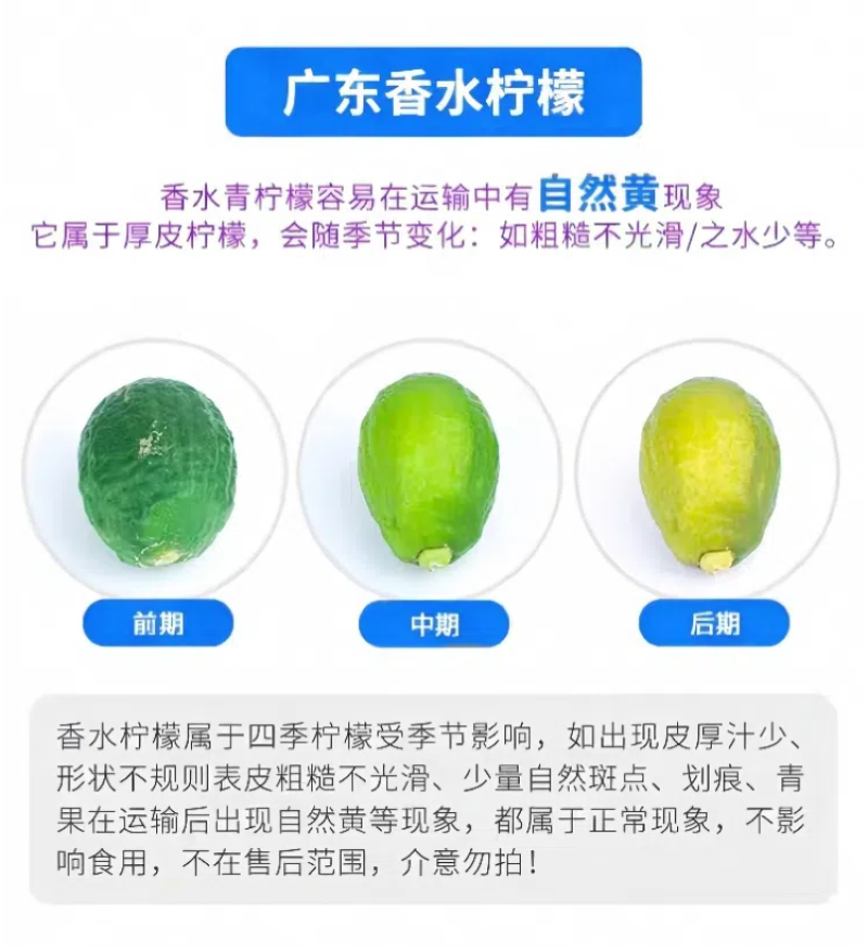 香水柠檬