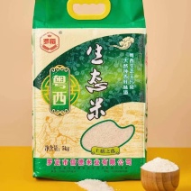 罗定大米南晶香占广东省内包邮外省也可包邮