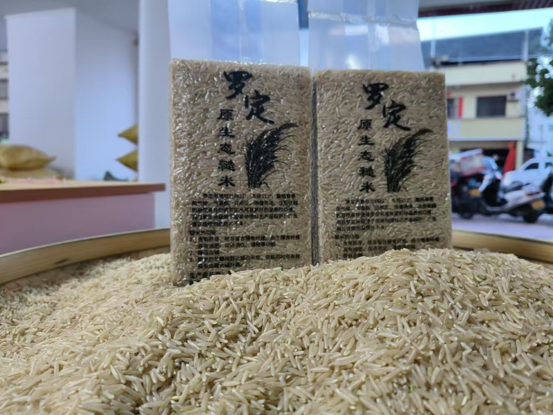 罗定大米支持一件代发口感好