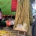 云南黄金水果甘蔗