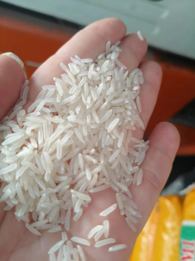 罗定大米批发价数量可谈，价格优惠，对接全国
