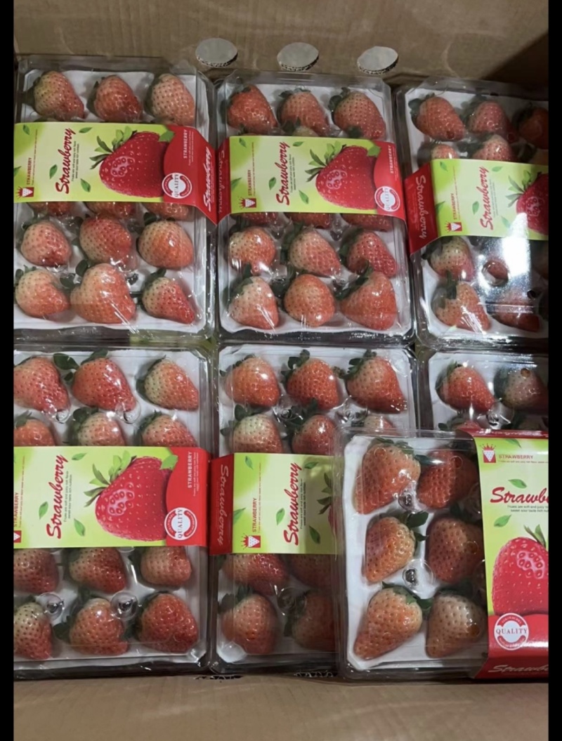 妙香，久香，天仙醉。控果棚内现摘。