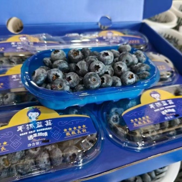云南蓝莓精品蓝莓，品种齐全，全国发货，可一件代发，对接电商等