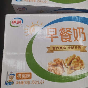 伊利纯牛奶早餐奶250ml*24
