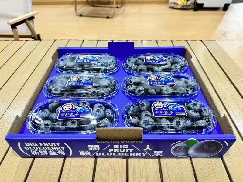 云南蓝莓精品蓝莓，品种齐全，全国发货，可一件代发，对接电商等