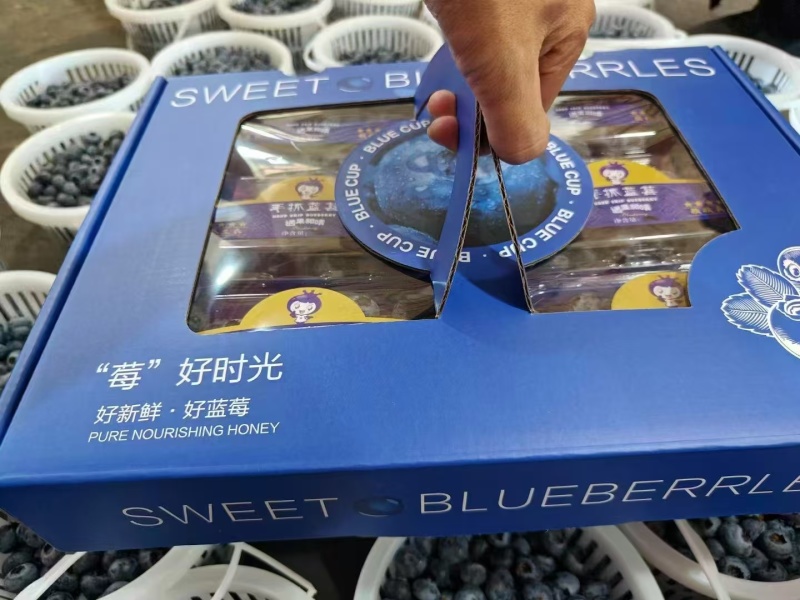 云南蓝莓精品蓝莓，品种齐全，全国发货，可一件代发，对接电商等