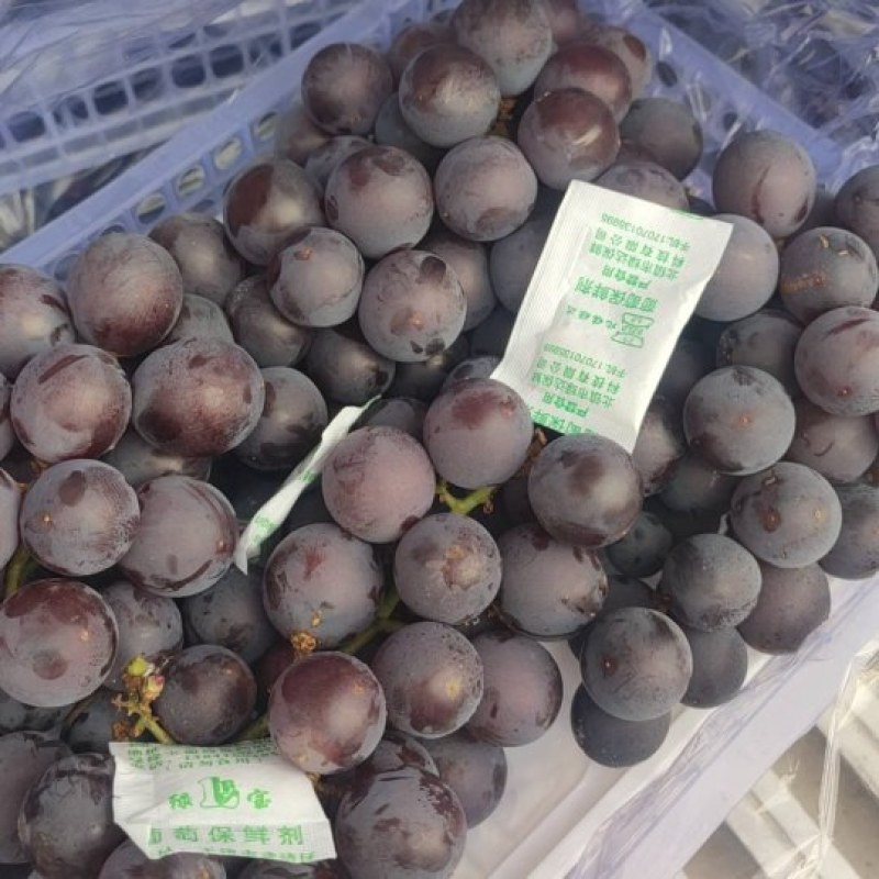 辽宁北镇巨峰自然果葡萄，口感好软梗不掉粒，果肉硬实果汁多