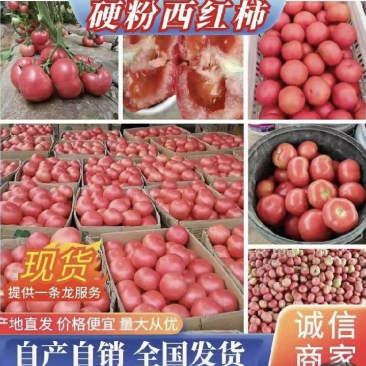 【实力】山东硬粉西红柿对接全国商超电商平台量大价优