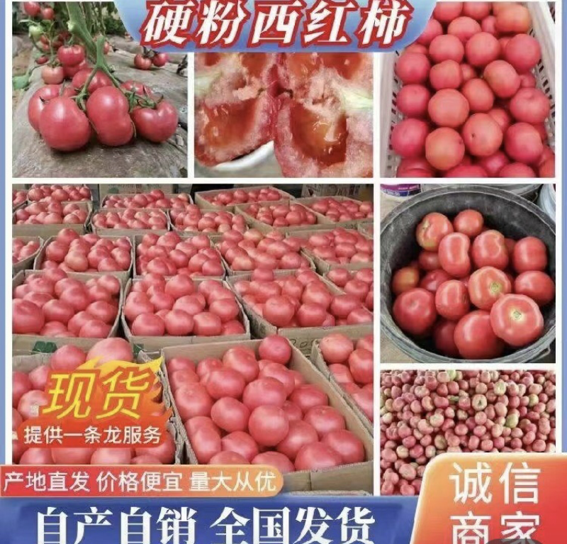 【实力】山东硬粉西红柿对接全国商超电商平台量大价优