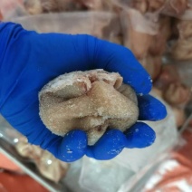 肚包肉一斤4个鲜肉制作品质保证欢迎咨询采购
