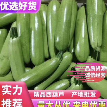 【推荐】山东西葫芦产地直发可视频看货对接全国商超电商