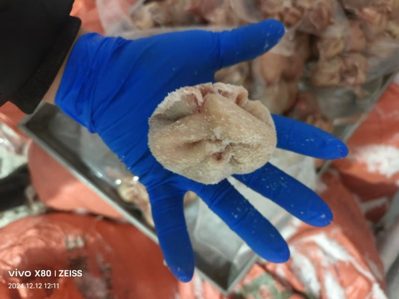 肚包肉一斤4个鲜肉制作品质保证欢迎咨询采购