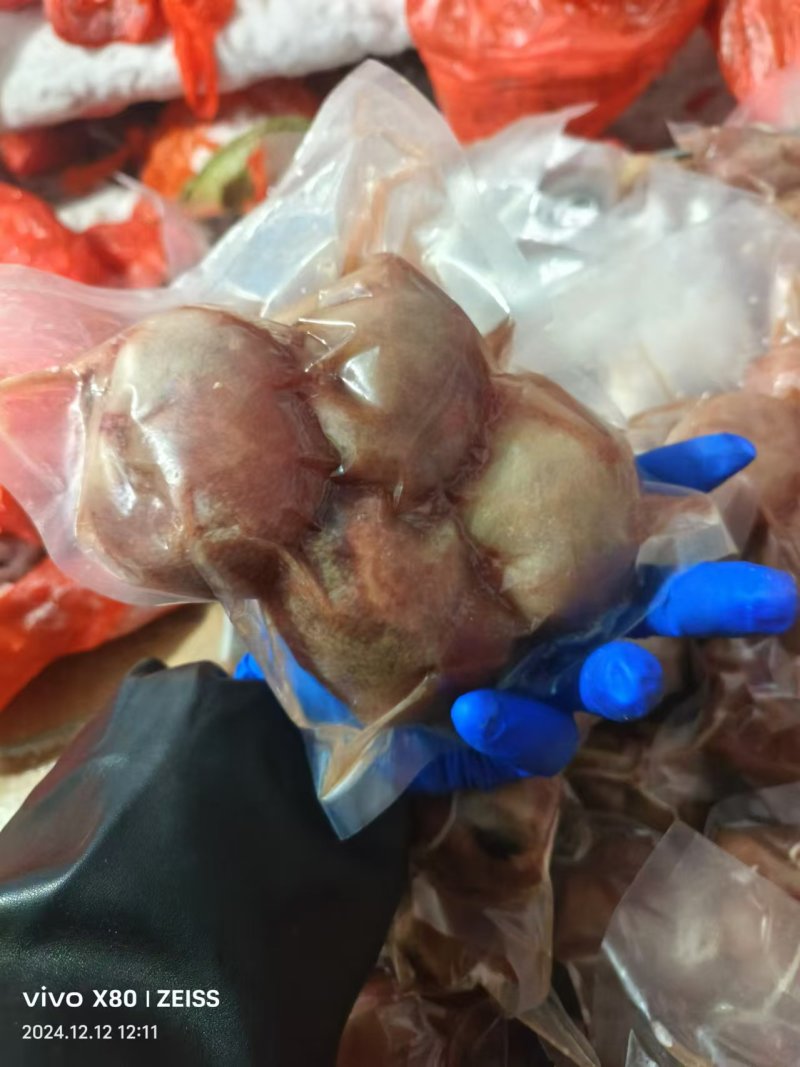 肚包肉一斤4个鲜肉制作品质保证欢迎咨询采购