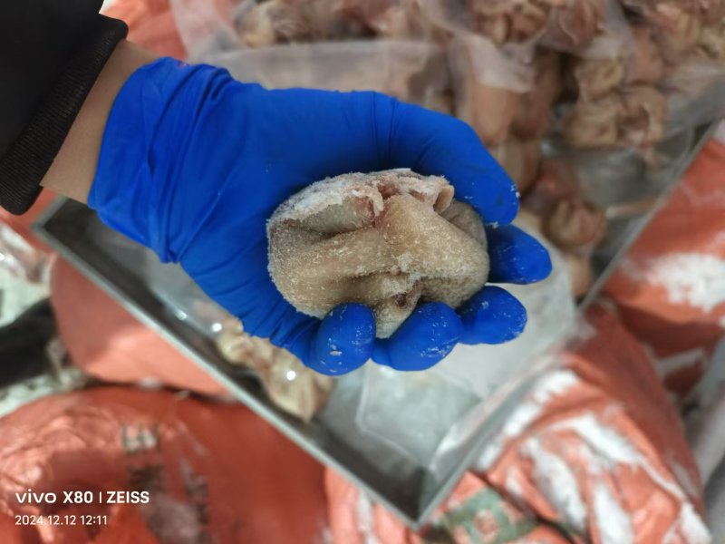 肚包肉一斤4个鲜肉制作品质保证欢迎咨询采购