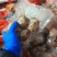 肚包肉一斤4个鲜肉制作品质保证欢迎咨询采购