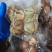 肚包肉一斤4个鲜肉制作品质保证欢迎咨询采购