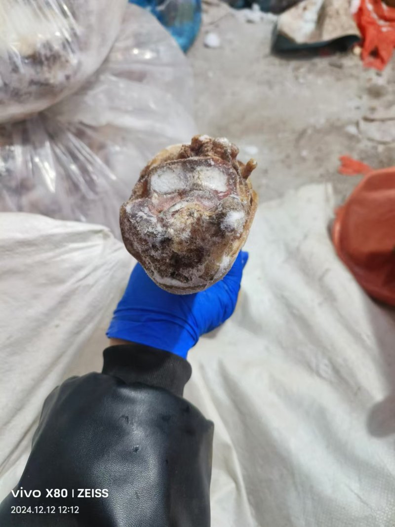 火烧毛牛蹄品质好价格实惠厂家直供欢迎联系