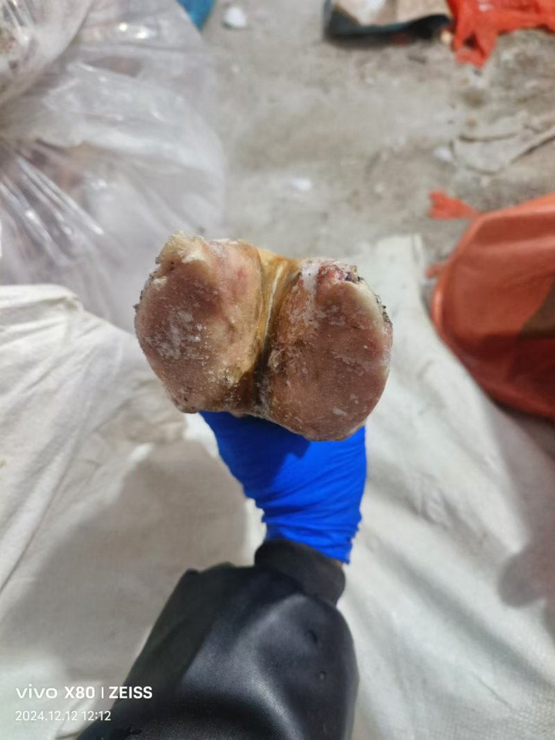 火烧毛牛蹄品质好价格实惠厂家直供欢迎联系