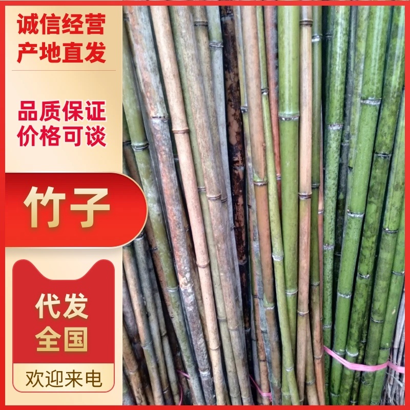 莱架撑杆竹竹竿果蔬架竹耐腐蚀寿命长可实地看货