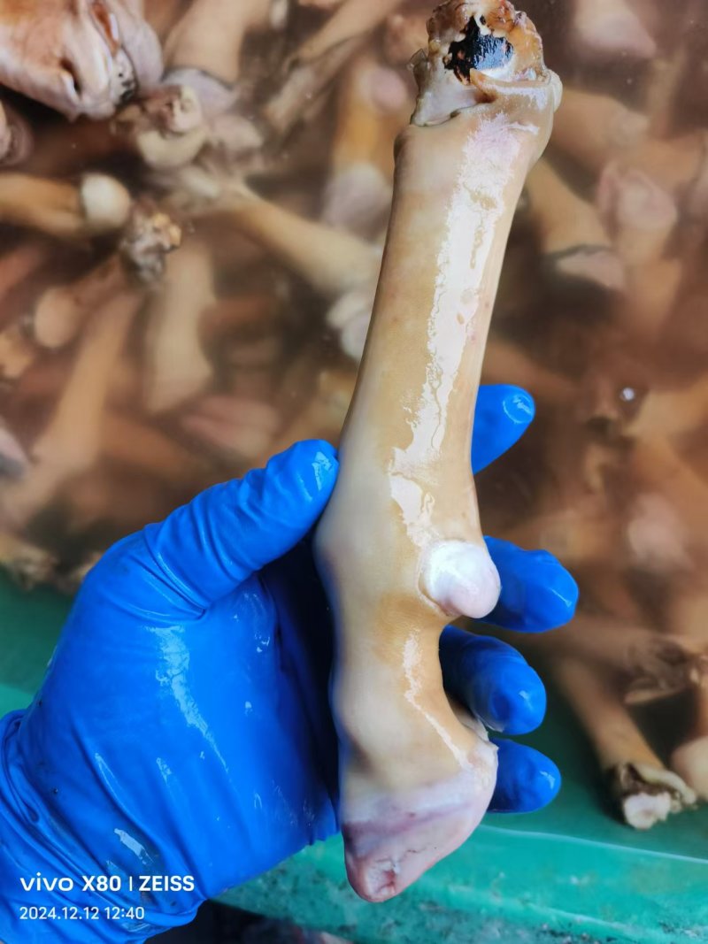 火燎羊蹄厂家直供品质保证价格实惠批发零售欢迎咨询