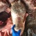火烧牛头量大从优价格实惠品质保证欢迎联系
