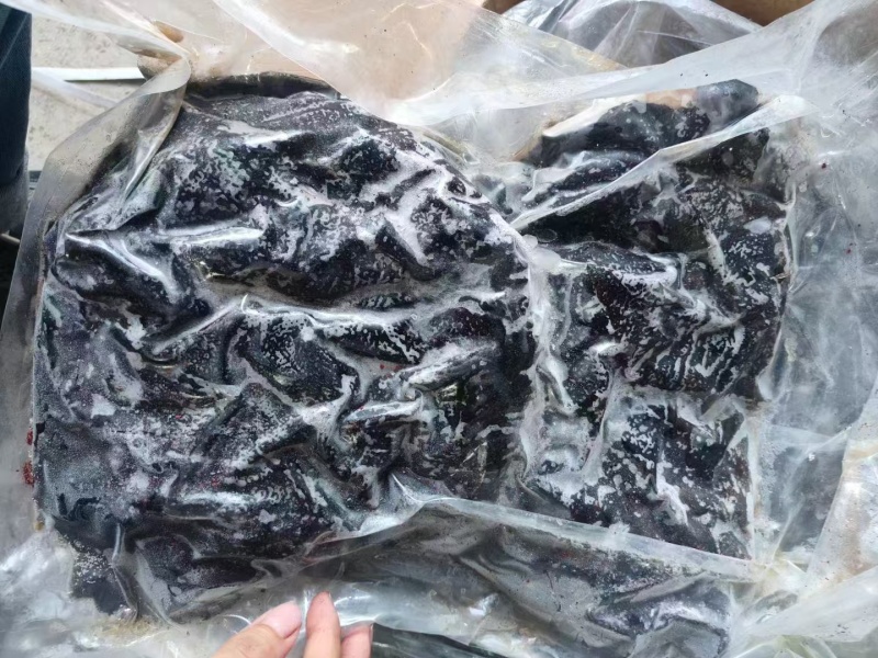 鲜百叶真空长刀牛百叶黑千层火锅食材品质保证批发