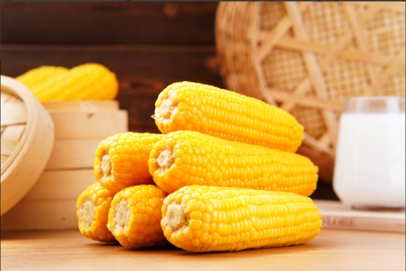 【优选好货】黑龙江精品糯玉米支持视频看货诚信经营
