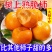 今日特价】巧克力脆柿子脆甜水果冰糖心新鲜现摘时令水果批发整箱