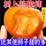 今日特价】巧克力脆柿子脆甜水果冰糖心新鲜现摘时令水果批发整箱